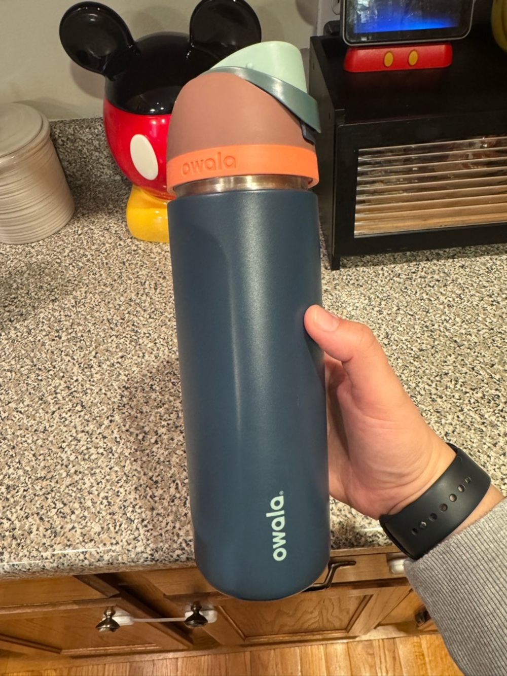 Owala Stainless Steel Water Bottle - Navy with Mint & Peach Lid 24 oz